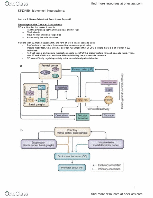 Kinesiology 3480 Lecture Notes - Lecture 3: Mild Cognitive Impairment, Physical Medicine And Rehabilitation, Dorsolateral Prefrontal Cortex thumbnail