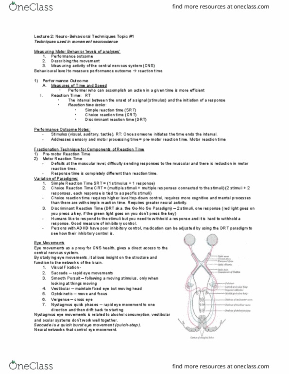 Kinesiology 3480 Lecture Notes - Lecture 2: Magnetic Resonance Imaging, Prefrontal Cortex, Functional Magnetic Resonance Imaging thumbnail
