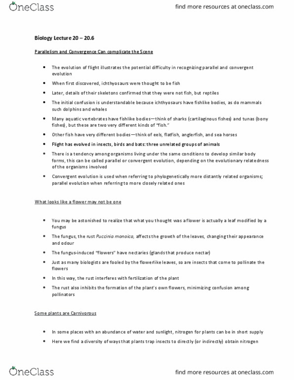 Biology 1001A Lecture Notes - Lecture 20: Ingroups And Outgroups, Autapomorphy, Synapomorphy thumbnail