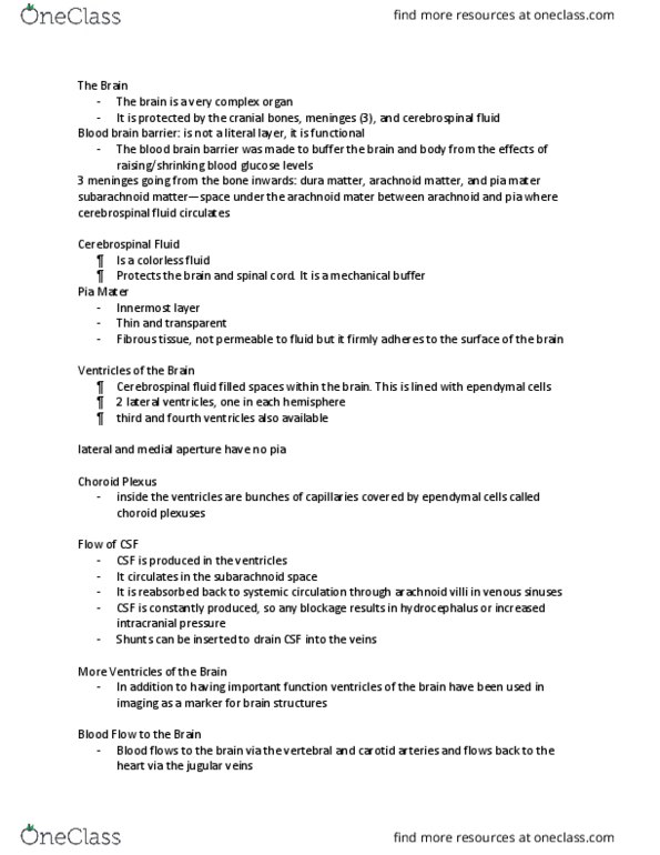 BIOL 3446 Lecture Notes - Lecture 3: Cranial Nerves, Medulla Oblongata, Premotor Cortex thumbnail