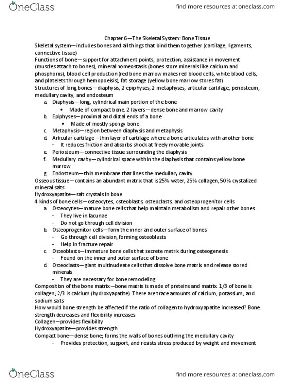 BIOL 3446 Chapter Notes - Chapter 6: Skeletal Pneumaticity, Gigantism, White Matter thumbnail