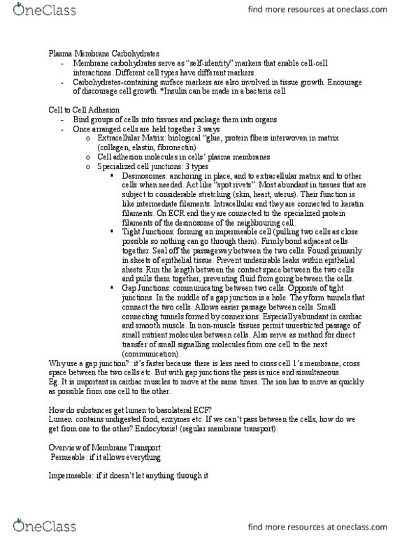 KINE 2011 Lecture Notes - Lecture 8: Osmosis, Membrane Transport, Nephron thumbnail