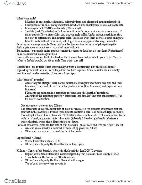 KINE 2011 Lecture Notes - Lecture 14: Troponin, Titin, Myocyte thumbnail