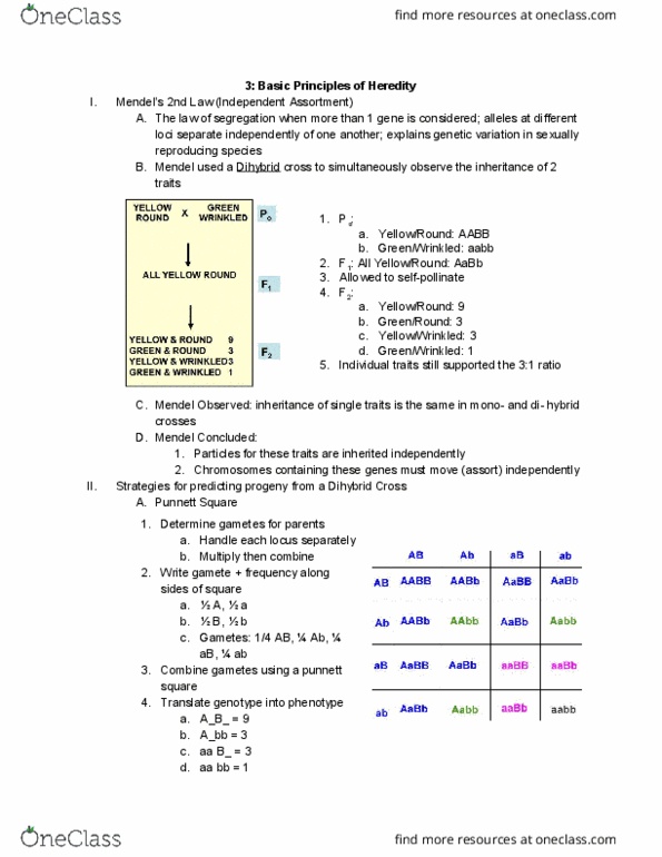 01:447:380 Lecture Notes - Lecture 3: Conditional Probability, Zygosity, Dihybrid Cross thumbnail