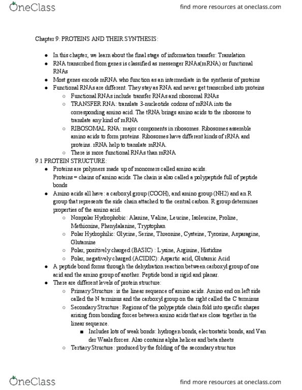 BISC 2539 Chapter Notes - Chapter 9: Ribozyme, Molecular Machine, Post-Translational Modification thumbnail