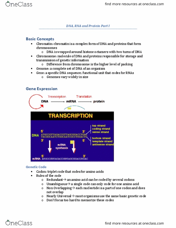 ANSC 4050 Lecture Notes - Lecture 2: Viral Disease, Eif4E, Dicer thumbnail