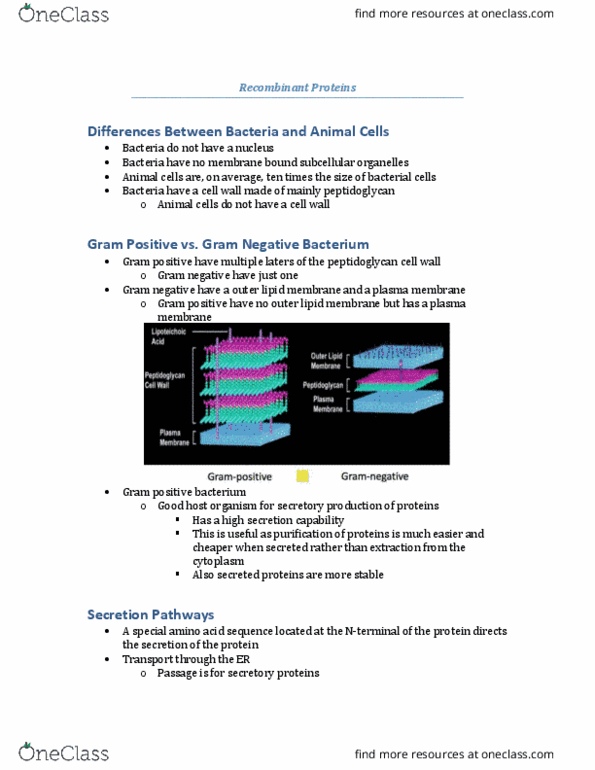 ANSC 4050 Lecture Notes - Lecture 7: Commensalism, Fusion Protein, Escherichia Coli thumbnail