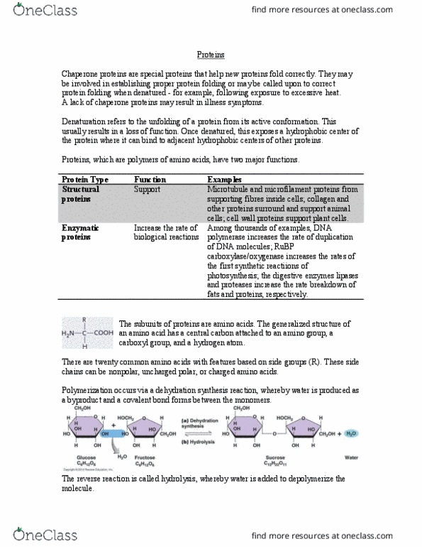 Biology 1002B Lecture Notes - Lecture 8: Beta-Carotene, Mutagen, Corepressor thumbnail
