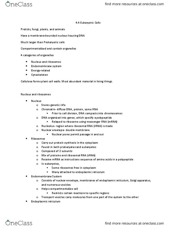 BIOL 1114 Lecture Notes - Lecture 6: Phospholipid, Digestion, Lysosome thumbnail