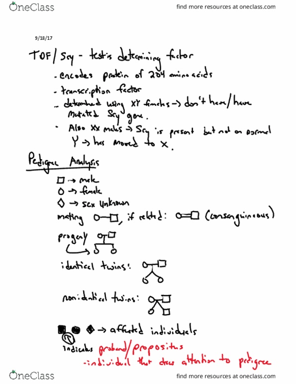 Biology And Biomedical Sciences BIOL 2960 Lecture 9: Lecture 9 thumbnail