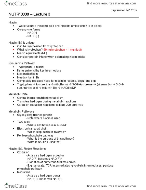 NUTR 3330 Lecture Notes - Lecture 2: Gemfibrozil, Lysine, Abdominal Pain thumbnail