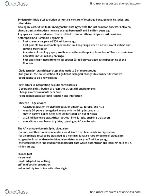 ANT 2000 Lecture Notes - Lecture 3: Shanidar Cave, Osteoarthritis, Border Cave thumbnail