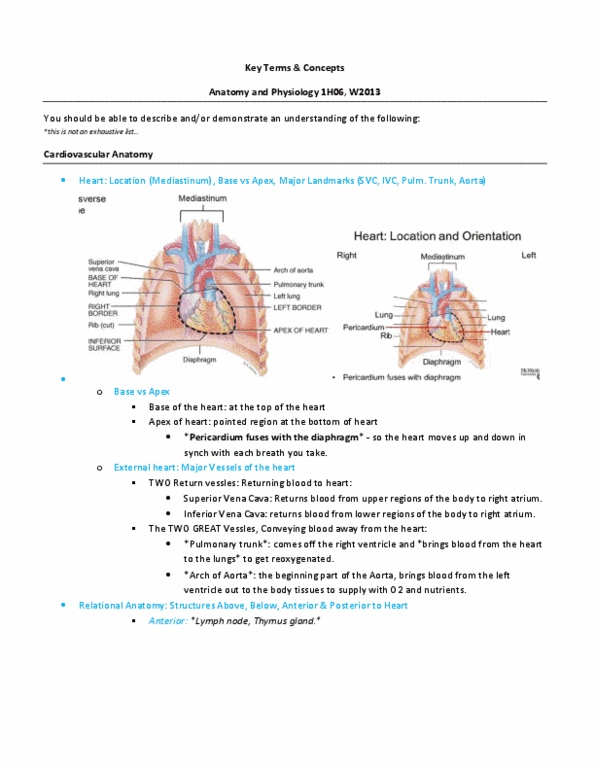 document preview image