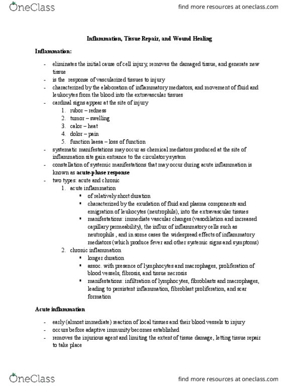 BIOL 235 Lecture Notes - Lecture 17: Skeletal Muscle, Bronchial Hyperresponsiveness, Fibrin thumbnail