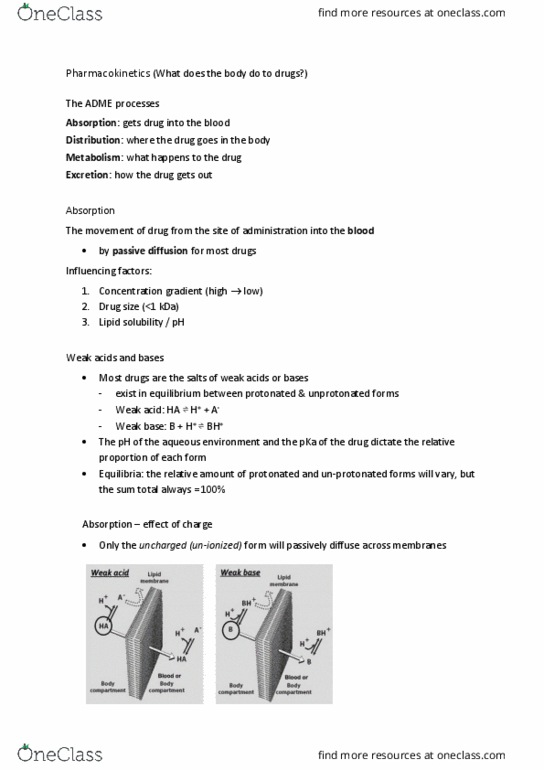 PCTH 201 Lecture Notes - Lecture 3: Warfarin, Point Mutation, Sodium Bicarbonate thumbnail