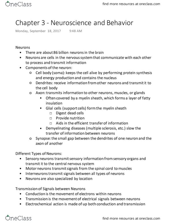 PSYCH 1101 Chapter Notes - Chapter 3: Occipital Lobe, Methyl Group, Parietal Lobe thumbnail