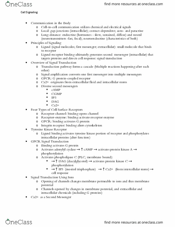 BSC 283 Lecture Notes - Lecture 5: Ibuprofen, Cyclooxygenase, Aspirin thumbnail