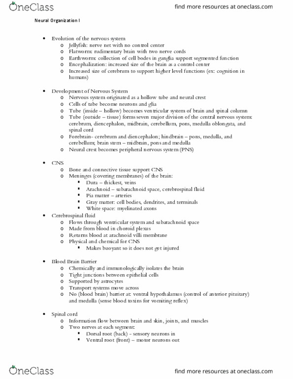 BSC 283 Lecture Notes - Lecture 8: Anterior Pituitary, Arachnoid Granulation, White Matter thumbnail