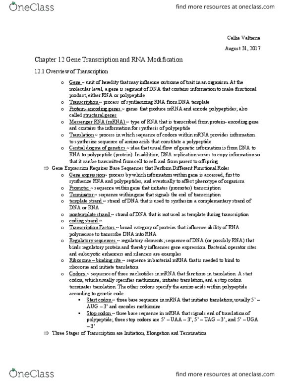 BIOL 2344 Chapter Notes - Chapter 12: Nucleolus, Transcription Factor Ii H, Guanosine thumbnail