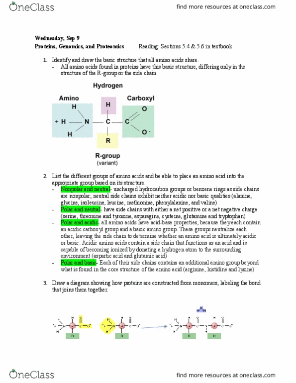 BIOL 1081 Lecture Notes - Lecture 7: Peptide, Bioinformatics, Quaternary thumbnail