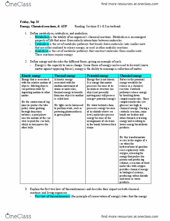 BIOL 1081 Lecture Notes - Lecture 13: Logical Consequence, Exergonic Reaction, Endergonic Reaction thumbnail