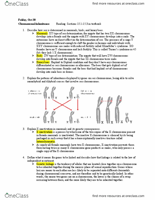 BIOL 1081 Lecture Notes - Lecture 27: Meiosis, Zygosity, Chromosomal Crossover thumbnail