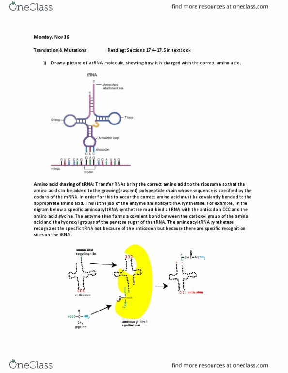 BIOL 1081 Lecture Notes - Lecture 32: Autocatalysis, Rna Polymerase Ii, Tata Box thumbnail