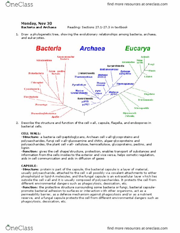 BIOL 1081 Lecture Notes - Lecture 37: Phycobilin, Purple Sulfur Bacteria, Chlorophyll thumbnail