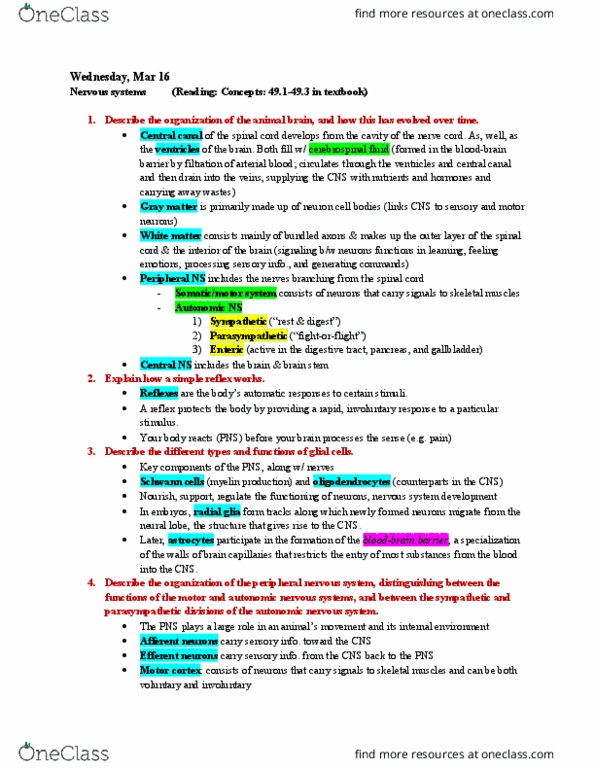 BIOL 1082 Lecture Notes - Lecture 26: Midbrain, Cerebellum, Motor Cortex thumbnail