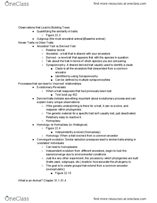 BIO 012 Lecture Notes - Lecture 3: Endoderm, Heterotroph, Body Plan thumbnail