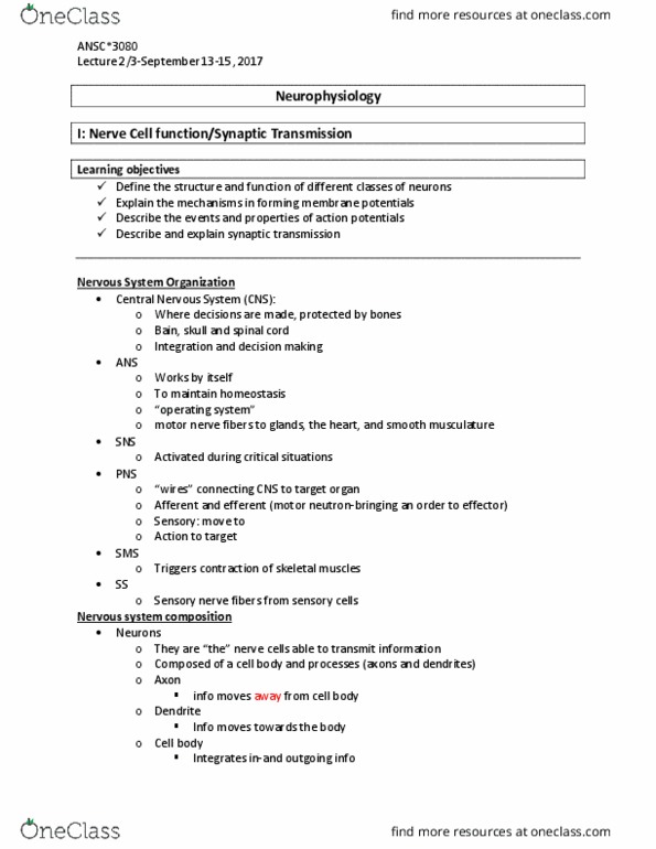 ANSC 3080 Lecture Notes - Lecture 2: Exocytosis, Protease, Esterase thumbnail