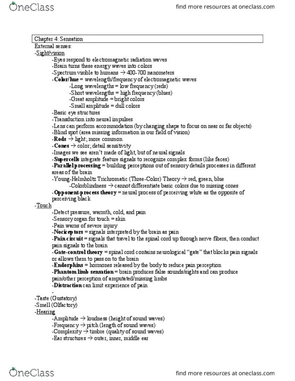 PSYC 499 Lecture Notes - Lecture 4: Temporal Lobe, Auditory Cortex, Hindbrain thumbnail