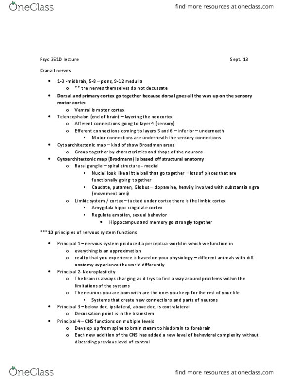 PSYC 351D Lecture Notes - Lecture 4: Brainstem, Hindbrain, Parietal Lobe thumbnail