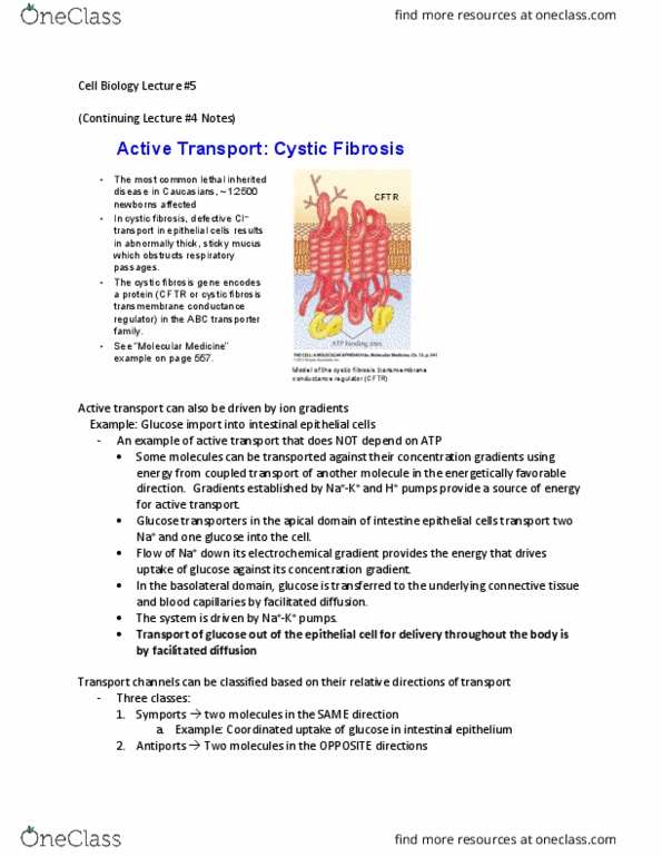 CAS CH 203 Lecture Notes - Lecture 5: Polysaccharide, Model Organism, Petri Dish thumbnail