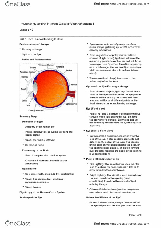NATS 1870 Chapter Notes - Chapter 13: Aqueous Humour, Color Blindness, Choroid thumbnail