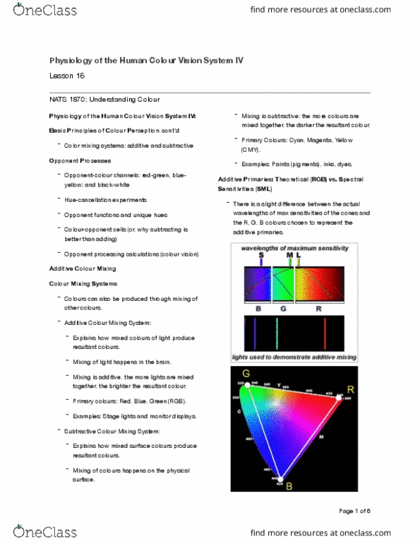 NATS 1870 Chapter Notes - Chapter 16: Trichromacy, Spectral Sensitivity, Subtractive Color thumbnail