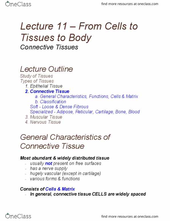 NATS 1610 Lecture Notes - Lecture 11: Pubic Symphysis, Hyaline Cartilage, Trachea thumbnail