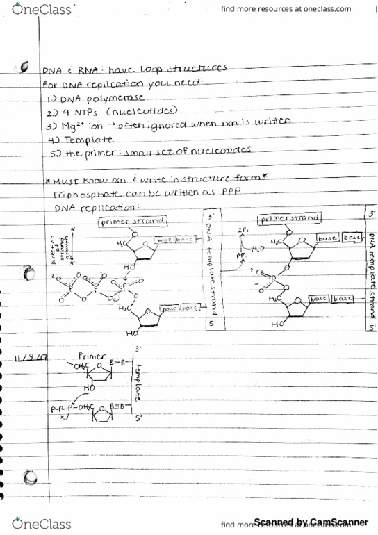 BIOCHM 383 Lecture Notes - Lecture 3: Junkers J.I thumbnail