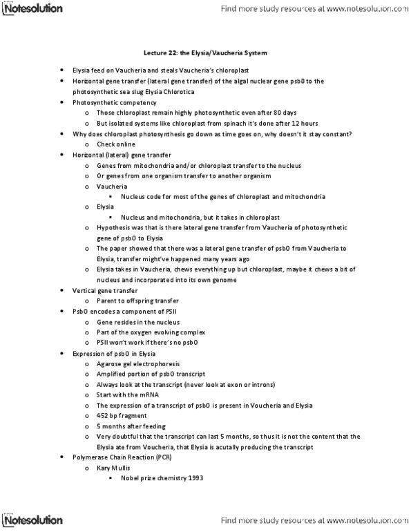 Biology 1002B Lecture Notes - Thymidine Triphosphate, Vaucheria, Chloroplast Membrane thumbnail