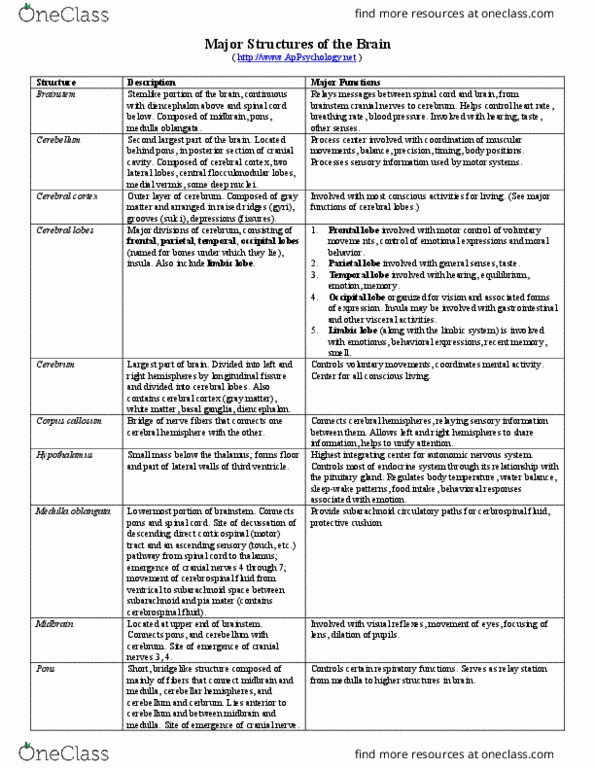 PSCH 100 Chapter Notes - Chapter 1: White Matter, Reticular Formation, Corpus Callosum thumbnail