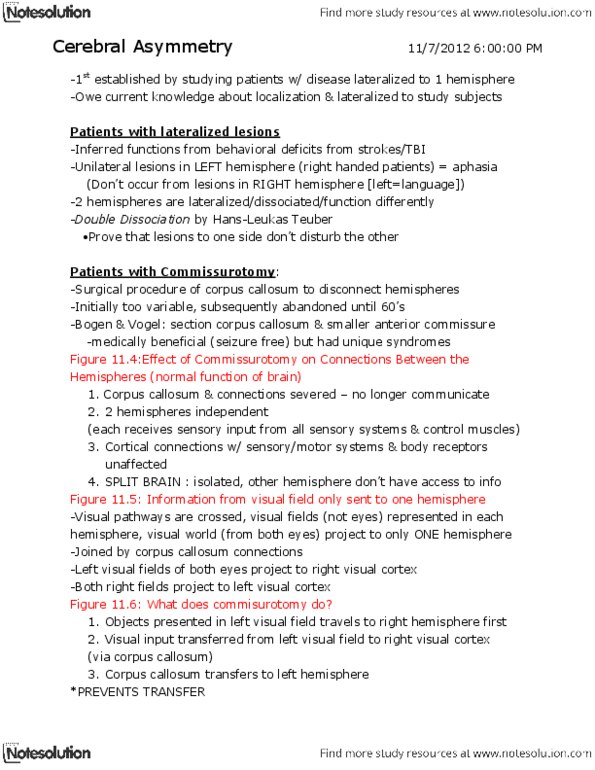 PSYC 207 Chapter Notes -Visual System, Auditory System, Medical Ultrasound thumbnail