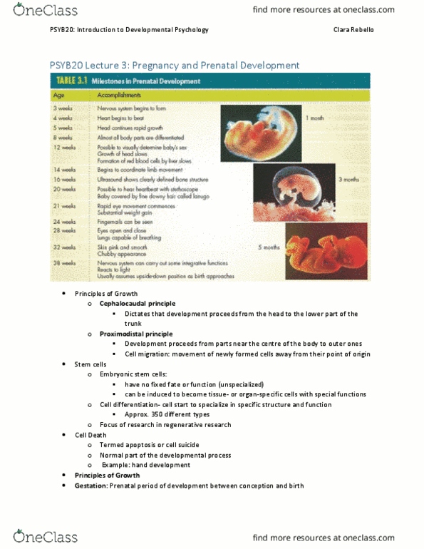 PSYB20H3 Lecture Notes - Lecture 3: Small For Gestational Age, Miscarriage, Complications Of Pregnancy thumbnail