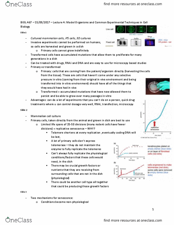 BIOL 467 Lecture Notes - Lecture 3: Post-Translational Modification, Dynamin, Transfection thumbnail
