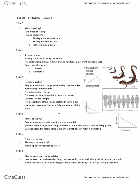 BIOL 350 Lecture Notes - Lecture 4: Invertebrate, Catabolism, Paleozoic thumbnail
