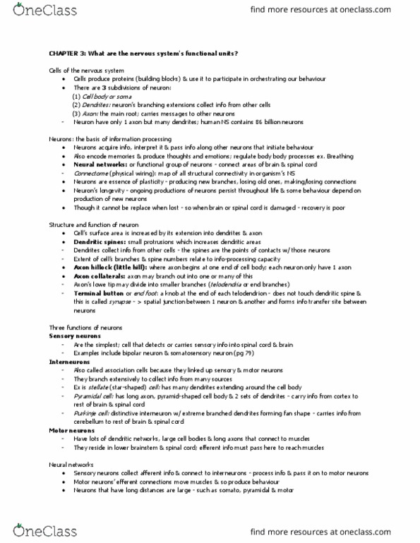 PSY 2301 Lecture Notes - Lecture 3: Dendritic Spine, Endoplasmic Reticulum, Lipid Bilayer thumbnail