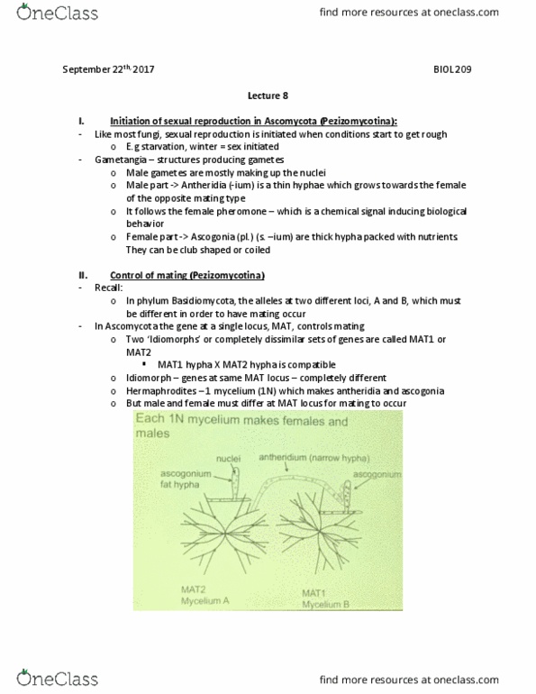 BIOL 209 Lecture Notes - Lecture 8: Pezizomycotina, Basidiomycota, Ascomycota thumbnail