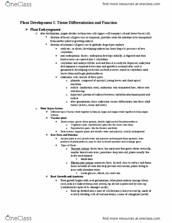 BIOL 1511 Lecture Notes - Lecture 3: Meristem, Fibrous Root System, Axillary Bud thumbnail