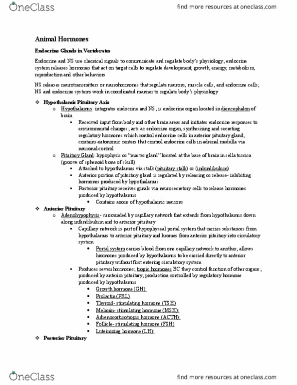 BIOL 1511 Lecture Notes - Lecture 10: Anterior Pituitary, Adrenal Medulla, Pituitary Stalk thumbnail