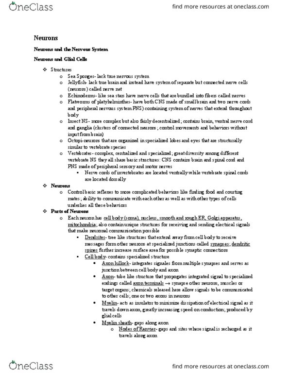 BIOL 1511 Lecture Notes - Lecture 11: Ventral Nerve Cord, Axon Hillock, Peripheral Nervous System thumbnail