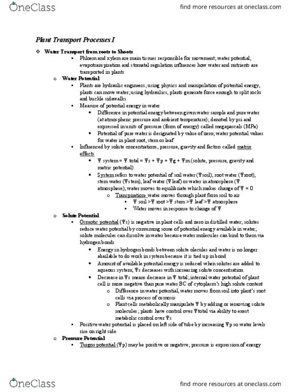 BIOL 1511 Lecture Notes - Lecture 15: Water Potential, Plant Cell, Osmosis thumbnail